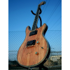 AE 625, P- RS Edel E Gitarre, Mahagoni, spalted Maple, EMG PUs,